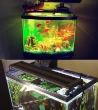 Aquarium Hood Lighting