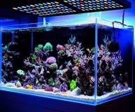 LED Aquarium Light